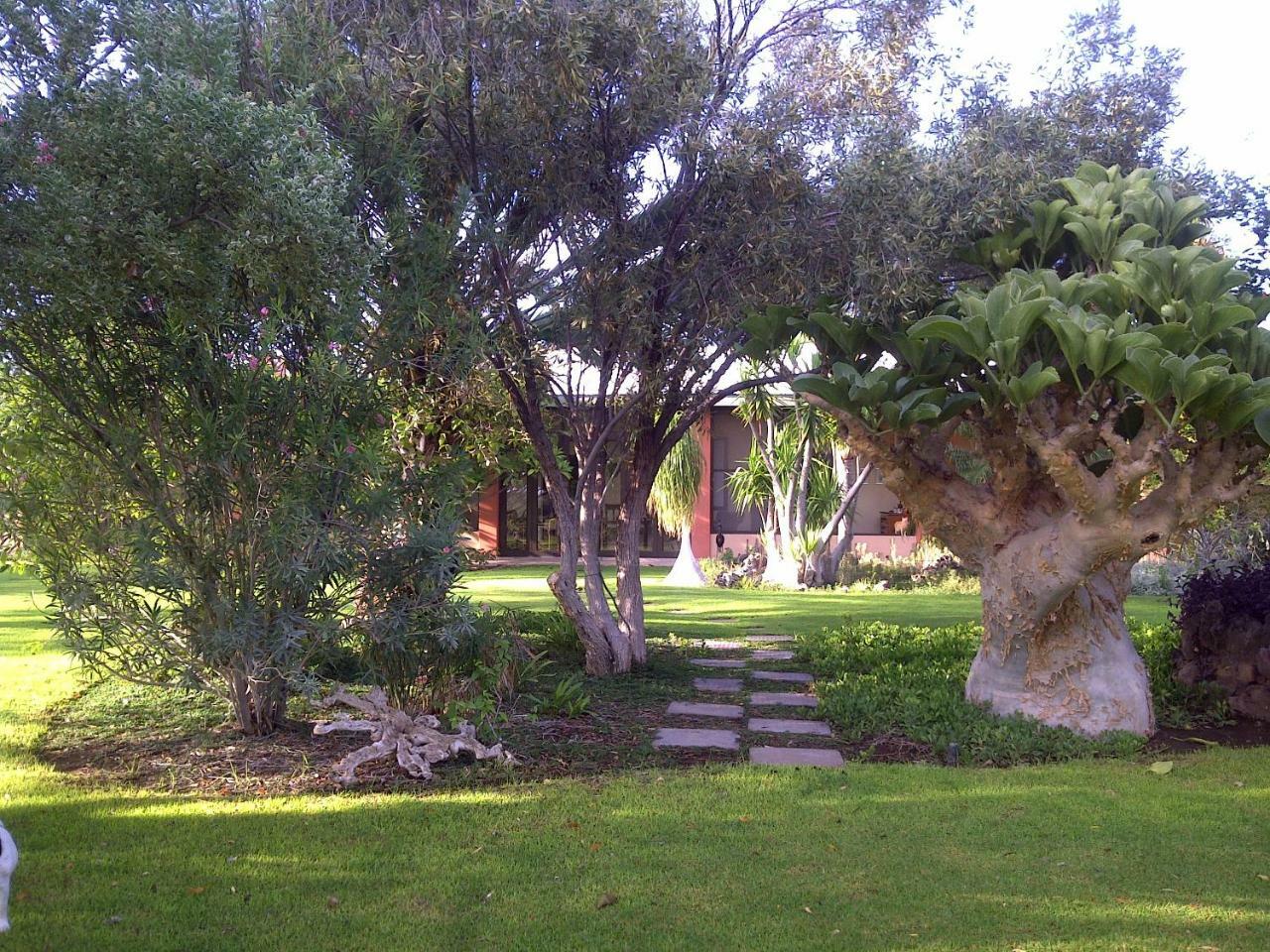 Buschberg Guest Farm Vila Outjo Exterior foto
